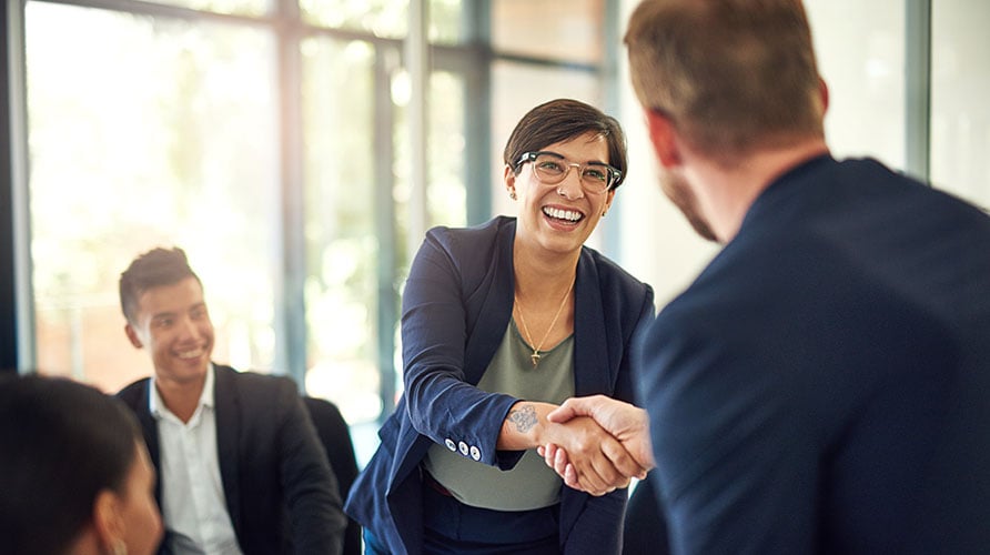 Professionals shaking hands