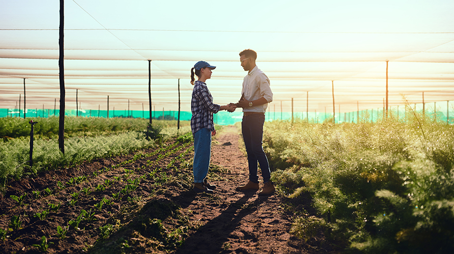 sustainable contracting